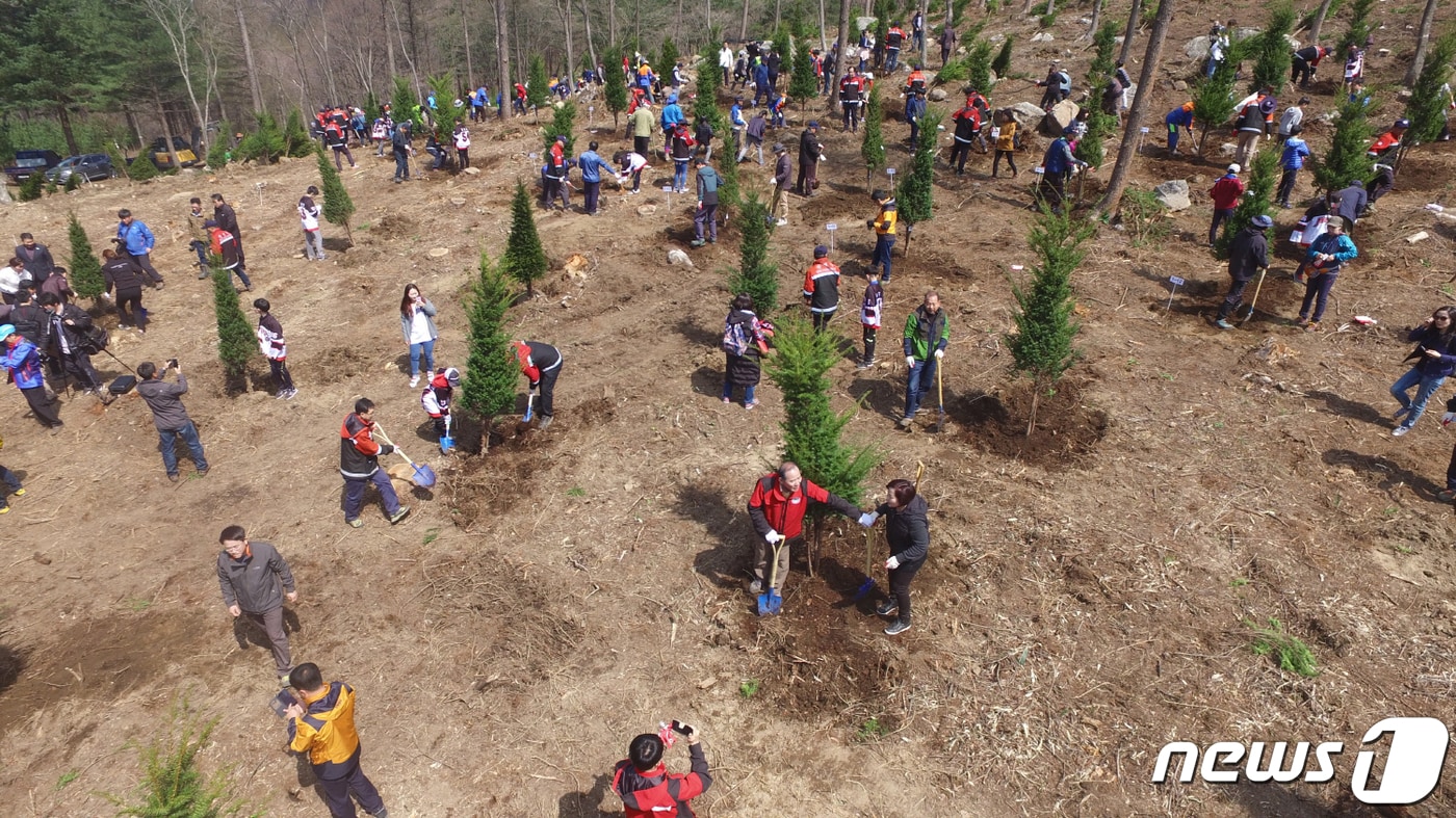 동부지방산림청, 지난해 나무심기 행사. (동부지방산림청 제공) 2019.4.2/뉴스1 ⓒ News1