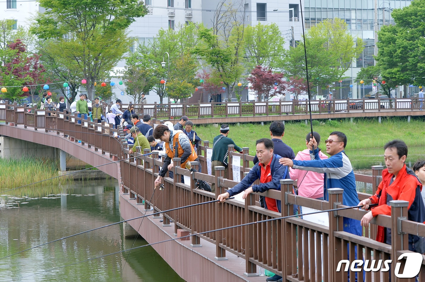 논산시가 탑정호 인근 수계에서 총 800kg 이상의 큰입배스를 포획하는 것을 목표로 생태계 교란 어종 퇴치 사업을 본격 추진한다. 사진은 광주 서구 운천저수지에서 열린 '2019년 생태계 교란 외래어종 퇴치 행사' 모습. (사진은 기사 내용과 무관함) / 뉴스1 ⓒ News1. 2019.4.21/뉴스1 ⓒ News1 한산 기자