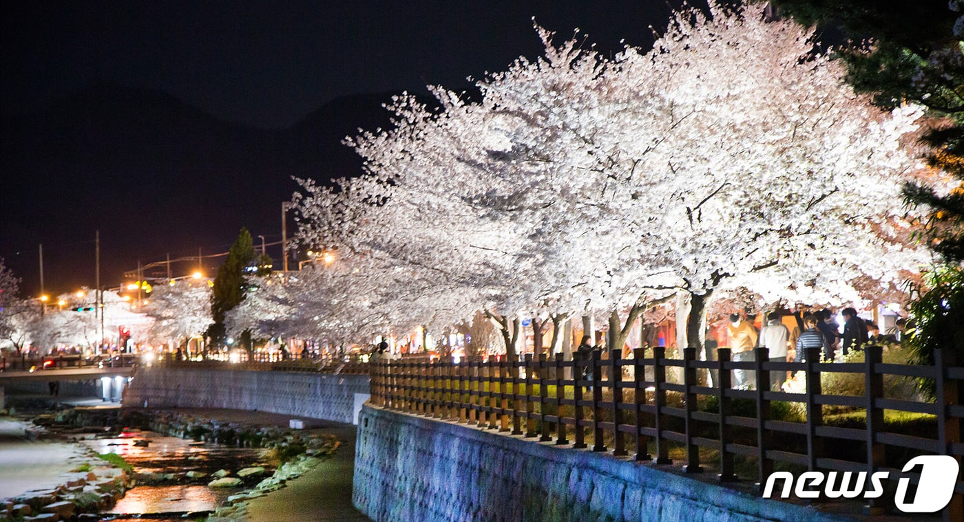 쌀쌀한 날씨 속에서도 경북 구미시 금오천변에 벚꽃이 만개했다. 3일까지 이틀 동안 열린 금오산 벚꽃축제 기간 벚꽃이 만개한 금오천에서는 바람개비 조형물과 포토존이 설치되고 버스킹 공연이 이어져 봄 마중을 나온 시민들에게 다양한 볼거리를 제공했다. 2019.4.3 ⓒ 뉴스1 정우용 기자