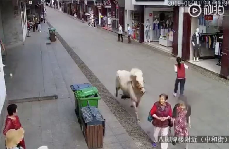 말이 전속력으로 질주해 여성 두 명을 들이받기 직전이다. - 웨이보 갈무리