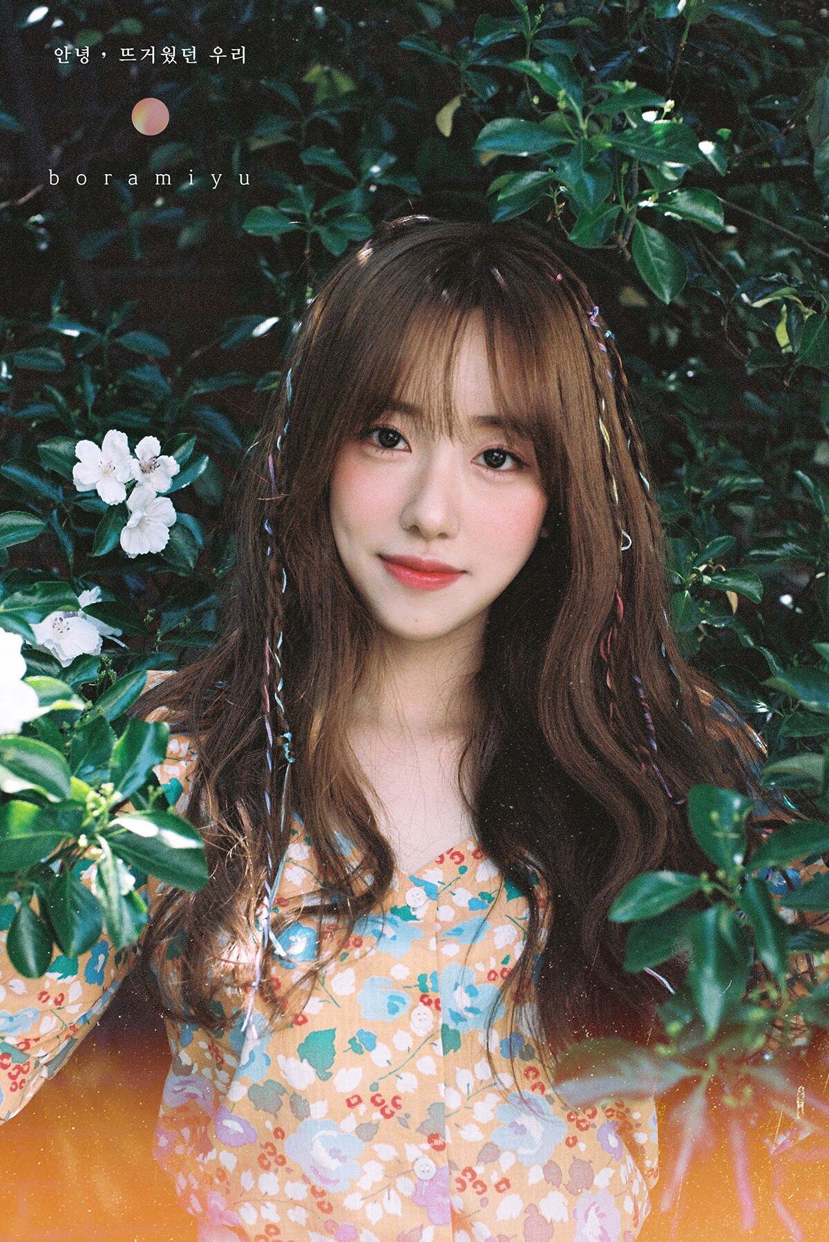 보라미유ⓒ 뉴스1