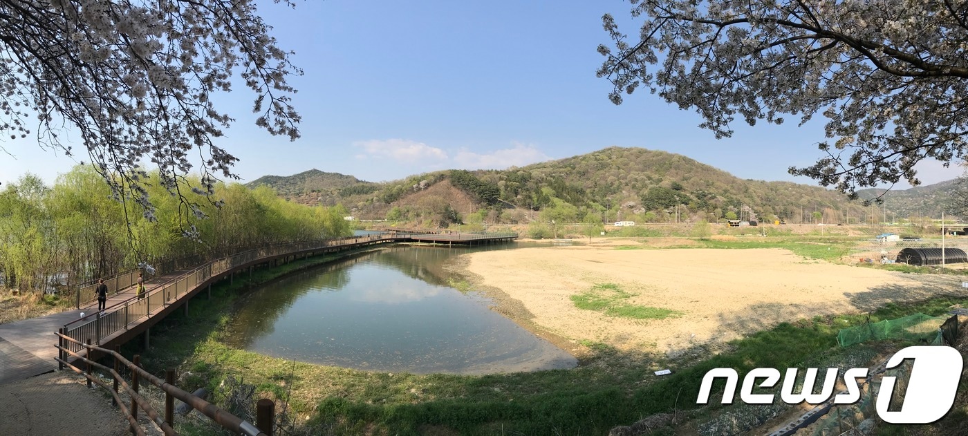 전북 전주 아중호수 상류 1만1000㎡ 부지에 아름다운 습지정원 조성이 추진된다.(전주시 제공)2019.5.30ⓒ 뉴스1