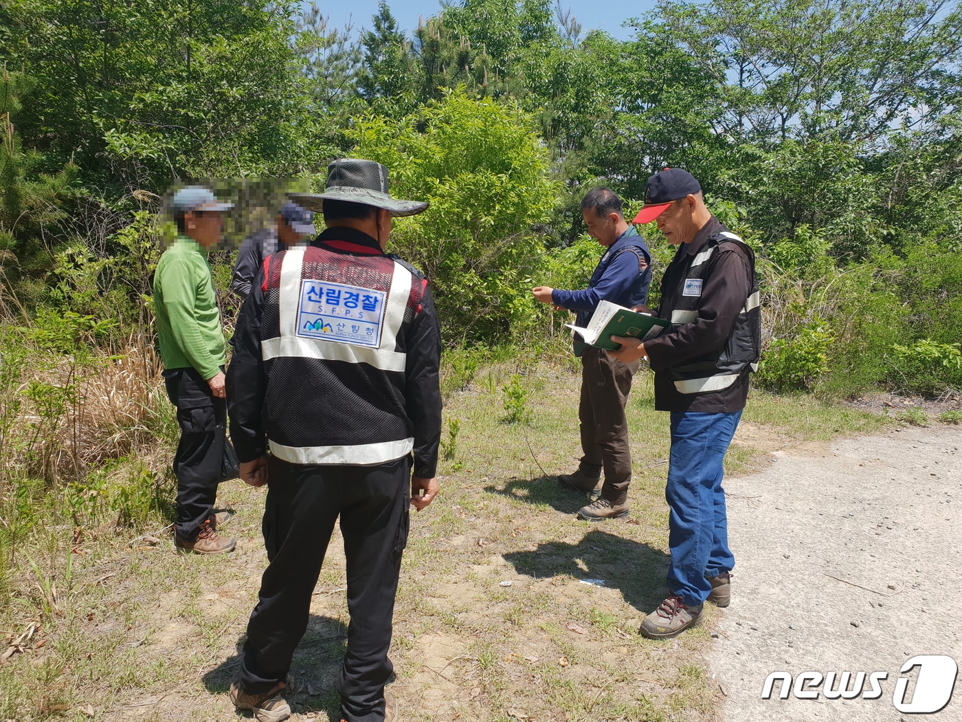 불법 임산물 채취 단속활동. /뉴스1 ⓒ News1