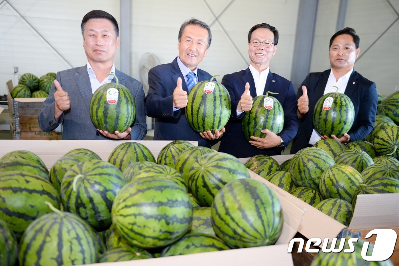 충북 음성군의 대표 농·특산물인 ‘다올찬 수박’이 지난 10일부터 대소농협·맹동농협 수박선별장과 음성 햇사레거점산지유통센터에서 공동 출하 기원제를 지내고, 본격 출하에 들어갔다. ⓒ 뉴스1