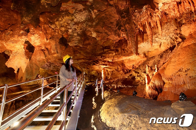 천곡황금박쥐동굴 내부. (동해시 제공) 2019.6.13/뉴스1 ⓒ News1