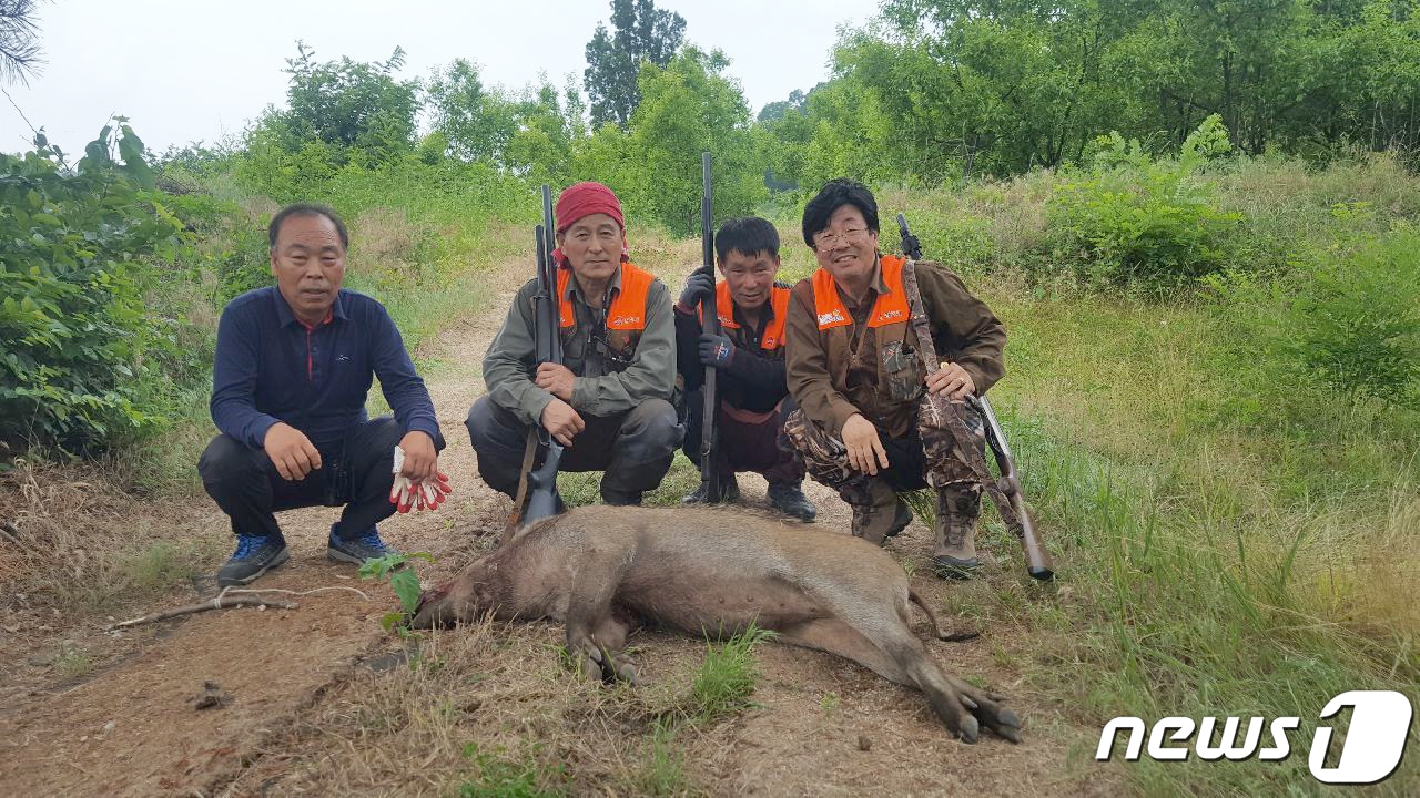 전북 진안군이 유해야생동물 피해를 예방하기 위해 피해 방지단을 운영한다. 자료사진(김천시제공) ⓒ News1 정우용 기자