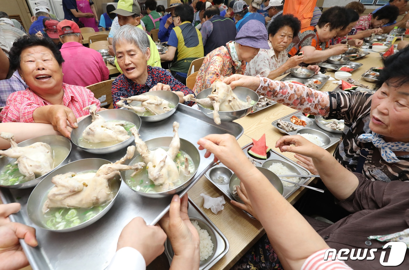 20일 오전 대구 서구 원대동 서구제일종합사회복지관에서 지역 어르신을 초청해 점심으로 여름철 건강식 삼계탕과 수박을 대접하고 있다. 2019.6.20/뉴스1 ⓒ News1 공정식 기자