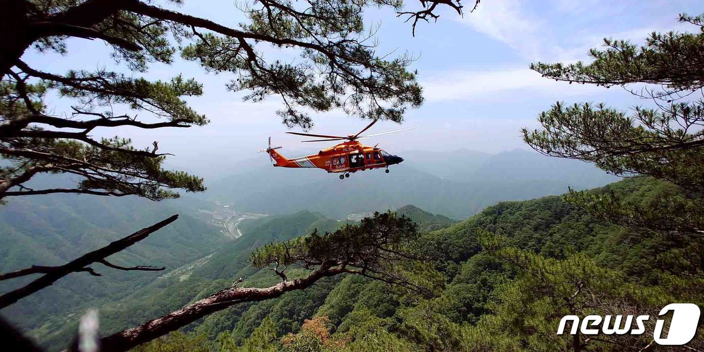 소방 구조헬기. 해당 사고와 관련 없음.&#40;뉴스1 DB&#41;