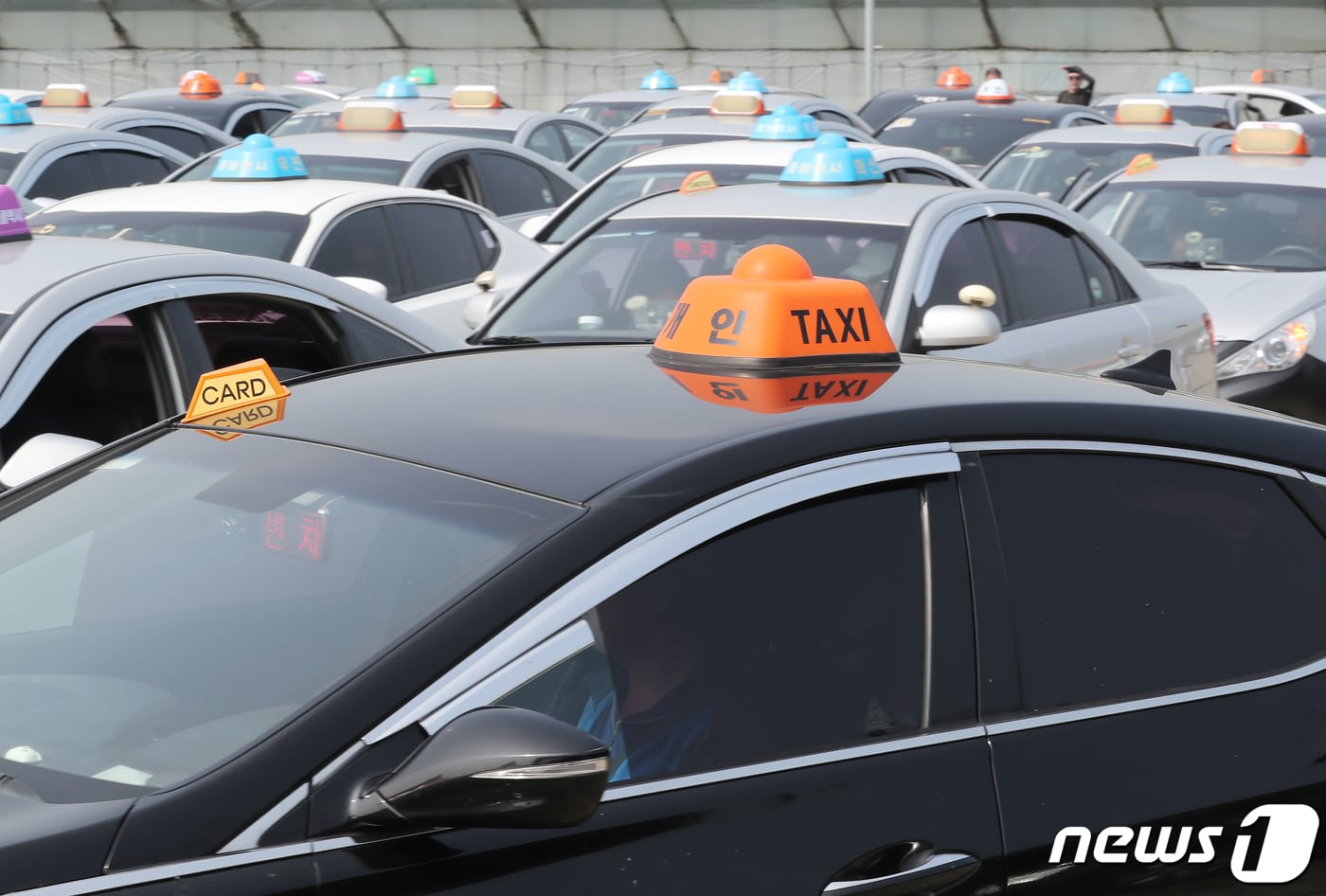 제주 택시(자료사진)/뉴스1