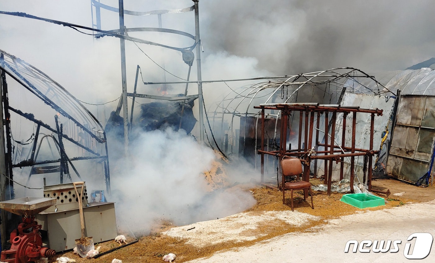 양계장 화재 자료사진 /ⓒ 뉴스1 