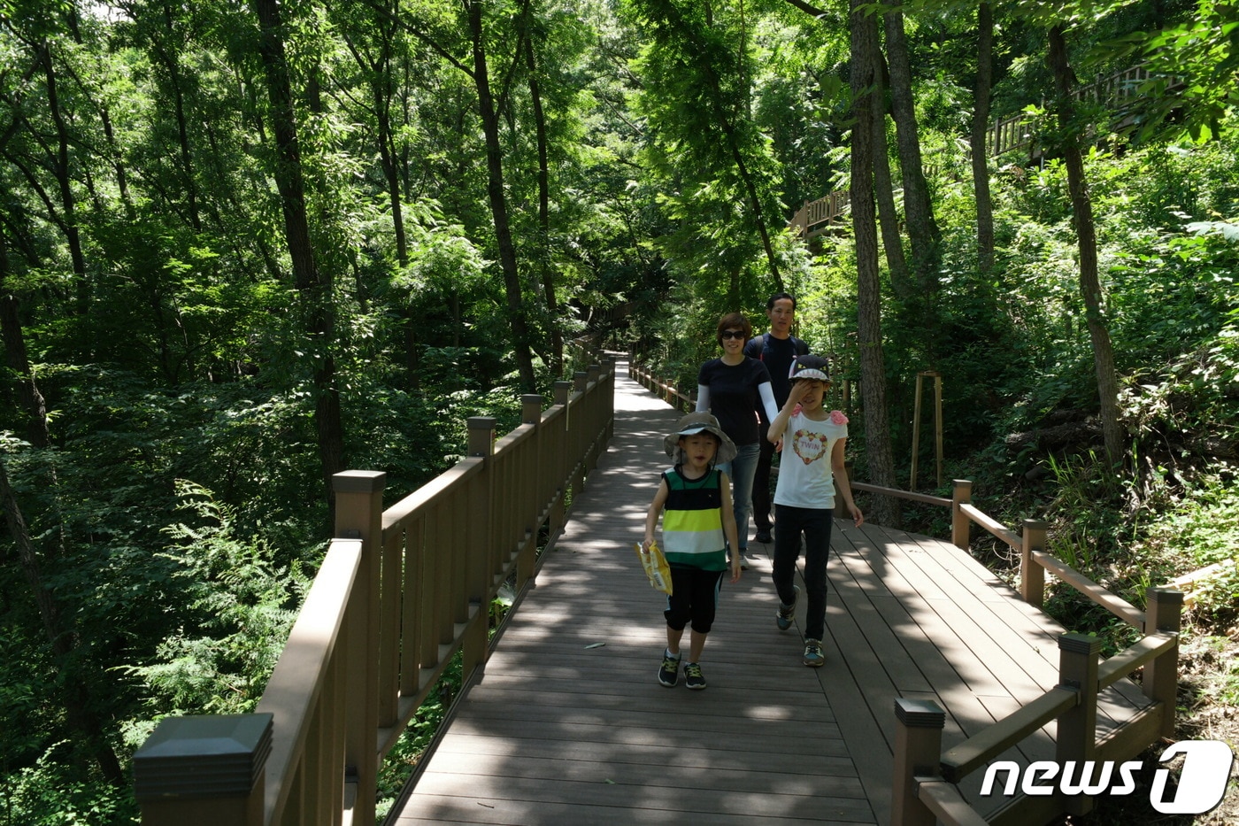 제암산 휴양림 더늠길.(보성군 제공) /뉴스1 ⓒ News1