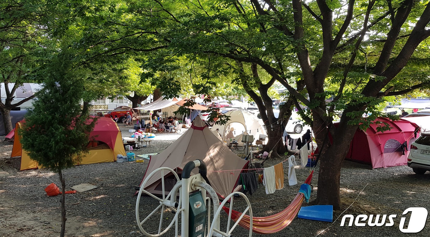 18일 경북 포항시 북구 기계면 봉좌마을 캠핑장을 찾은 피서객들이 나무 그늘 아래에 쳐 둔 텐트 안에서 더위를 피하고 있다. 봉좌마을 캠핑장에는 글램핑장과 물놀이장 등 편의시설이 갖춰져 있다. 2019.8.18/뉴스1 ⓒ News1 최창호 기자