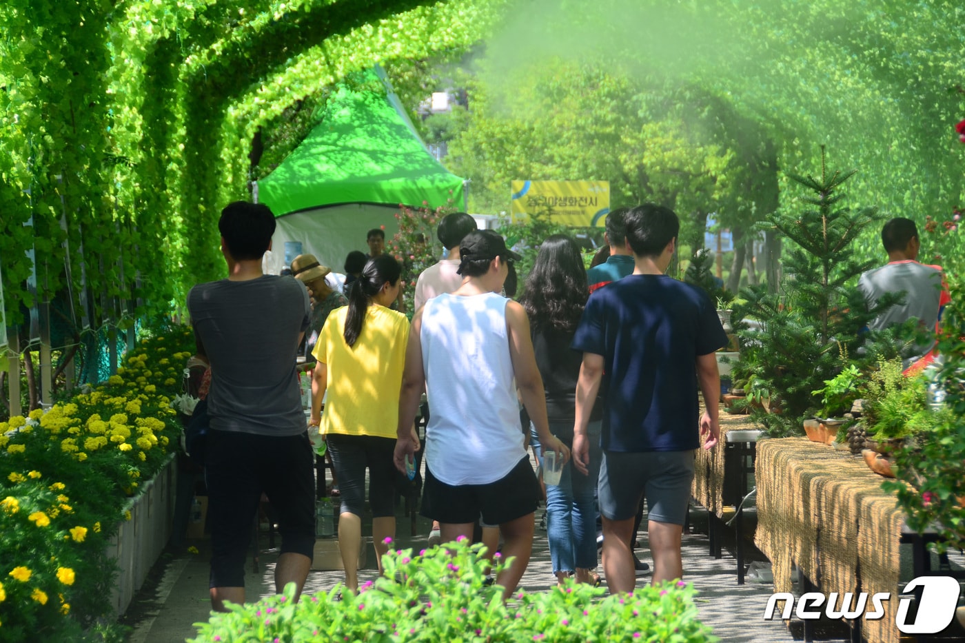 2019 국토정중앙 양구 배꼽축제.(뉴스1 DB)