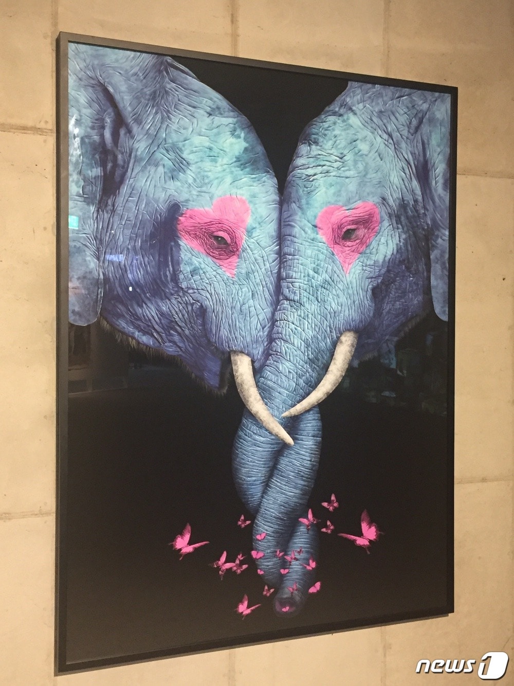 고상우 작가의 '코끼리 키스' ⓒ 뉴스1 문동주 인턴기자