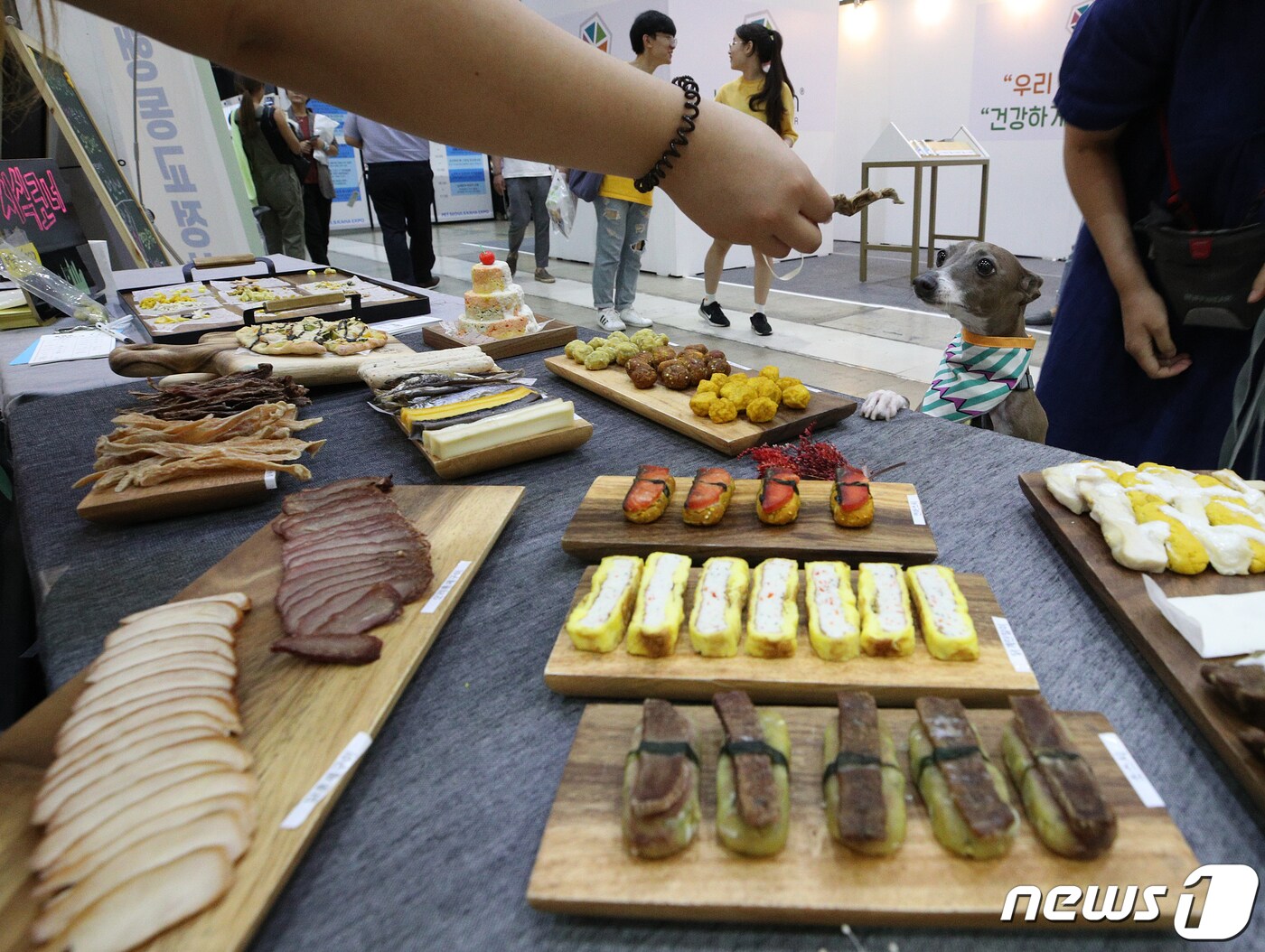 9일 서울 강남구 코엑스에서 열린 반려동물 박람회 펫서울 2019에서 관람객들이 반려동물 음식을 살펴보고 있다. &#40;사진은 기사 내용과 무관함&#41; 2019.8.9/뉴스1 ⓒ News1 신웅수 기자