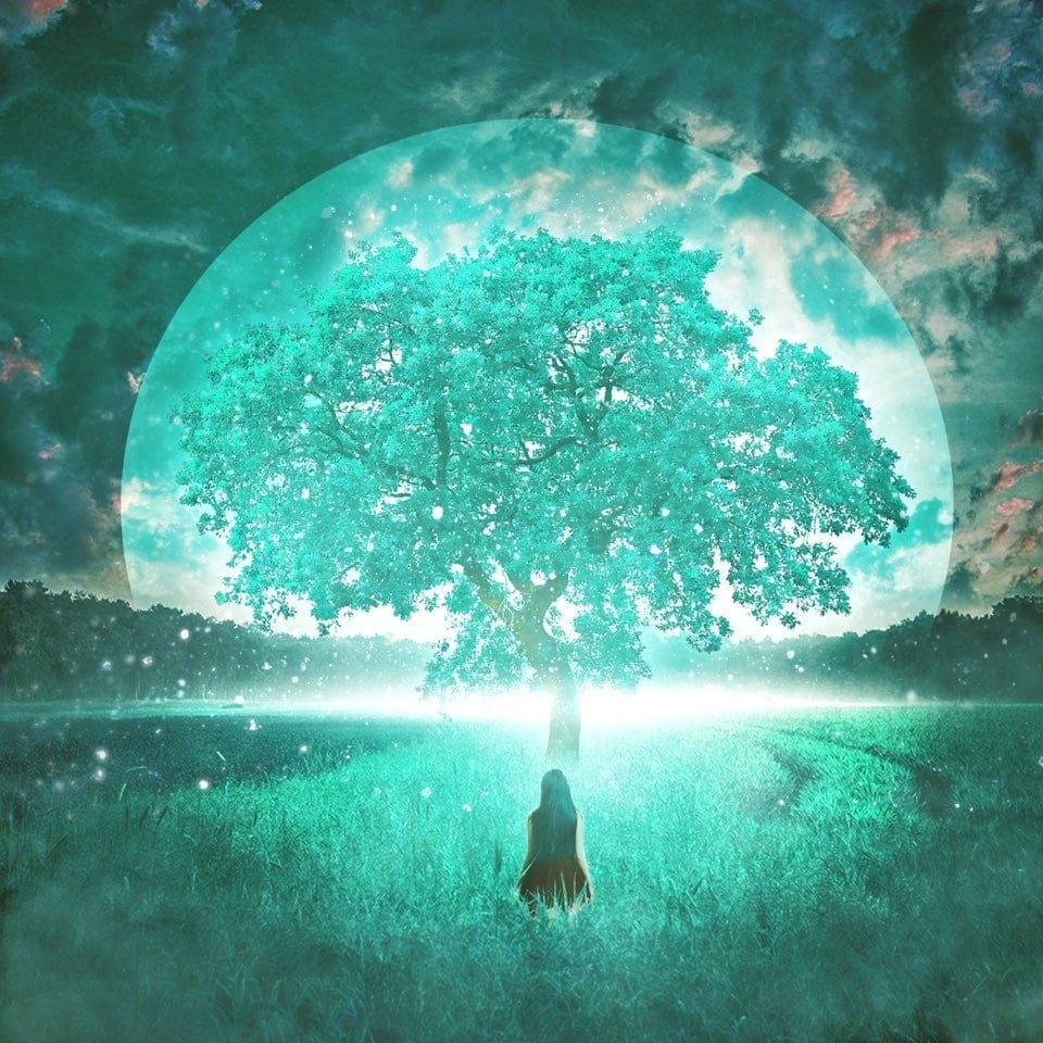 코로나엑스 엔터테인먼트 ⓒ 뉴스1