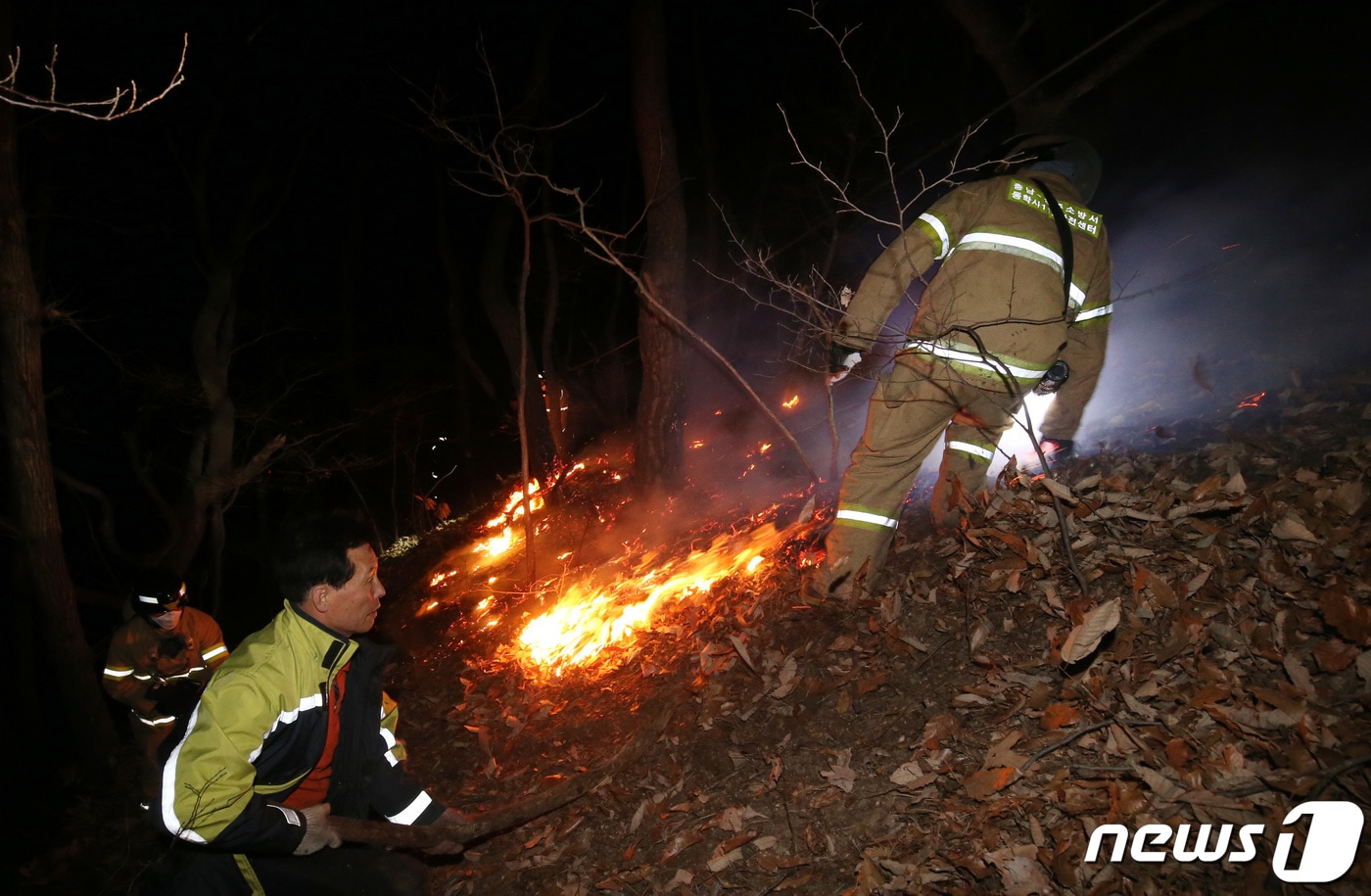 /뉴스1 ⓒ News1 김기태 기자