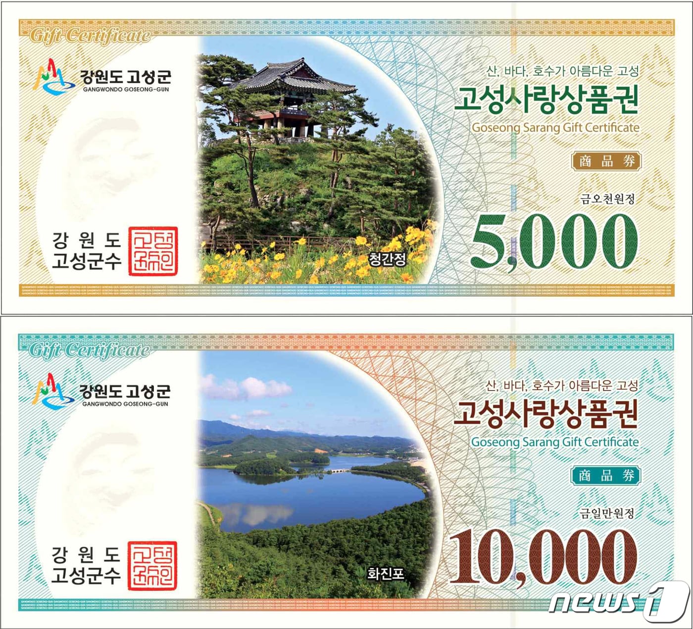 고성사랑상품권(고성군 제공) ⓒ News1