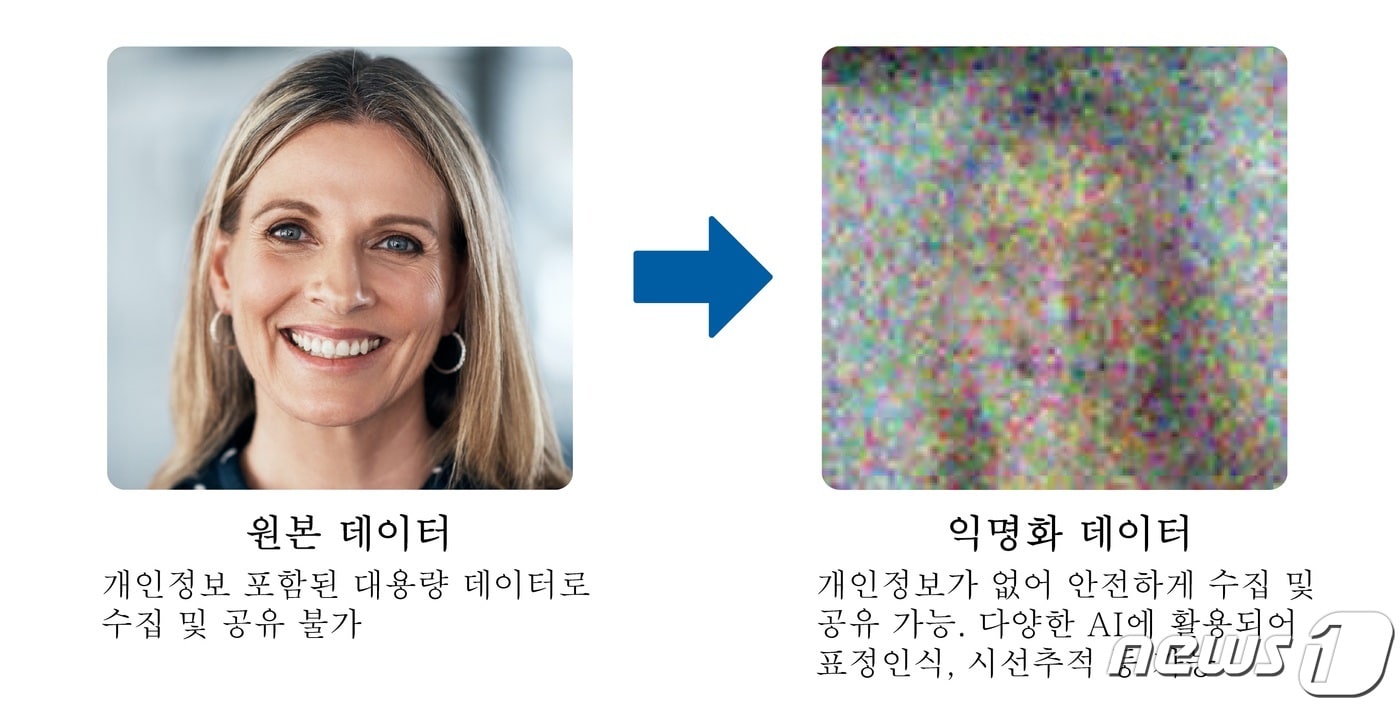 딥핑소스의 비식별화 기술 (퓨처플레이 제공) ⓒ 뉴스1