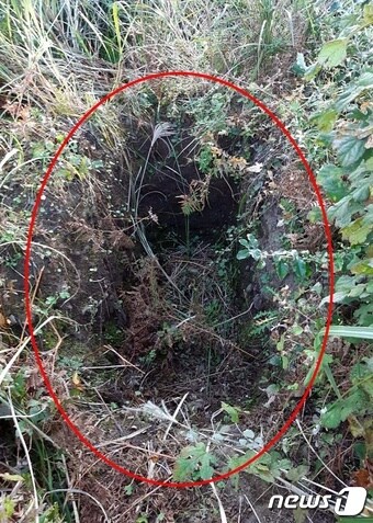 제주 제주시 조천읍에 있는 강모씨(61)의 조상묘가 훼손된 모습. 강씨는 지난달 20일 유골이 사라진 것을 발견하고 경찰에 수사를 요청했다.(독자 제공)2020.10.14 /뉴스1ⓒ News1