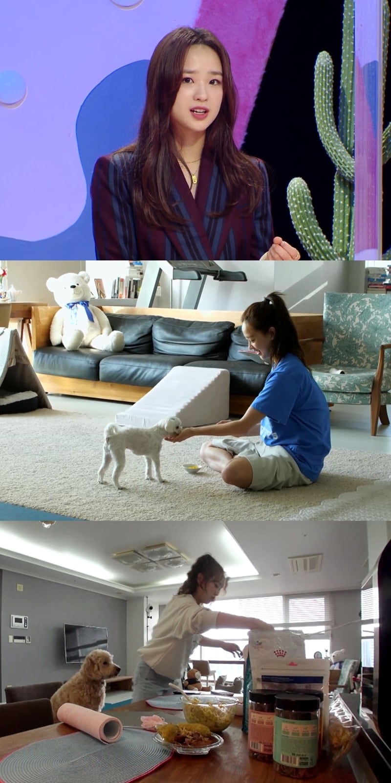 사진 KBS2 펫비타민 제공 ⓒ 뉴스1