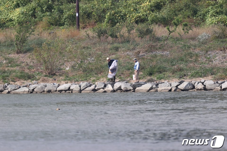 경북 포항시가 최근 상수원 보호구역인 남구 연일읍 유강리 형산강 일원에서 목격되고 있는 불법어로행위 단속에 칼을 뽑았다. 지난 18일 오후 형산강에서 투망작업을 준비하고 있는 모습. (독자제공)2020.10.19/ⓒ 뉴스1