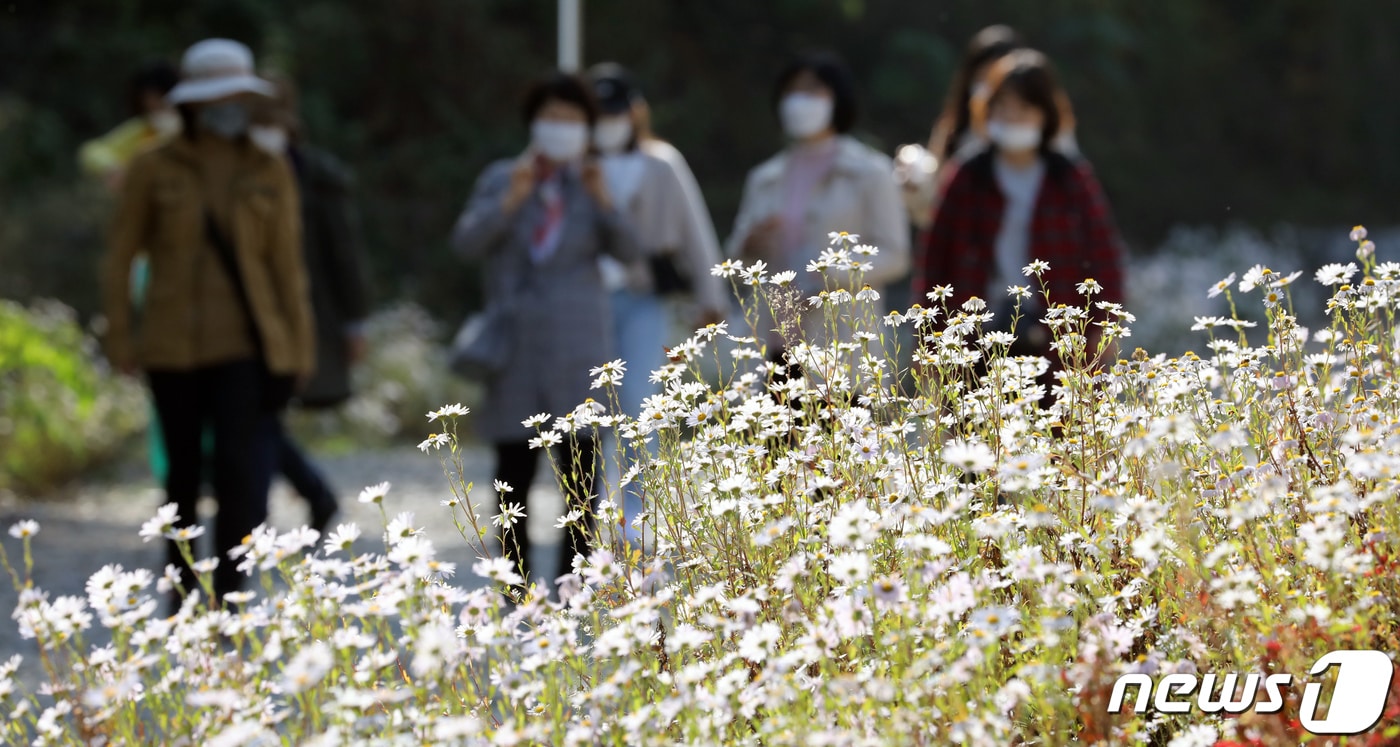 자료사진. ⓒ News1 장수영 기자