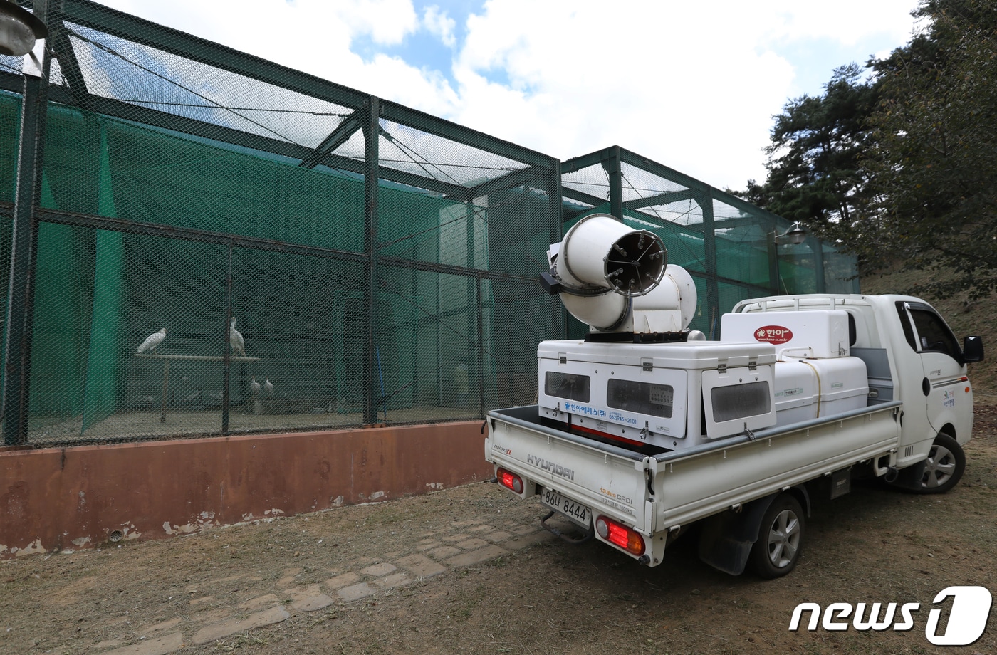 경남 창녕군 따오기복원센터에서 관계자들이 천연기념물 제198호인 따오기와 유사 따오기를 대상으로 조류인플루엔자&#40;AI&#41; 방역을 하고 있다.2020.10.8/뉴스1 ⓒ News1 DB