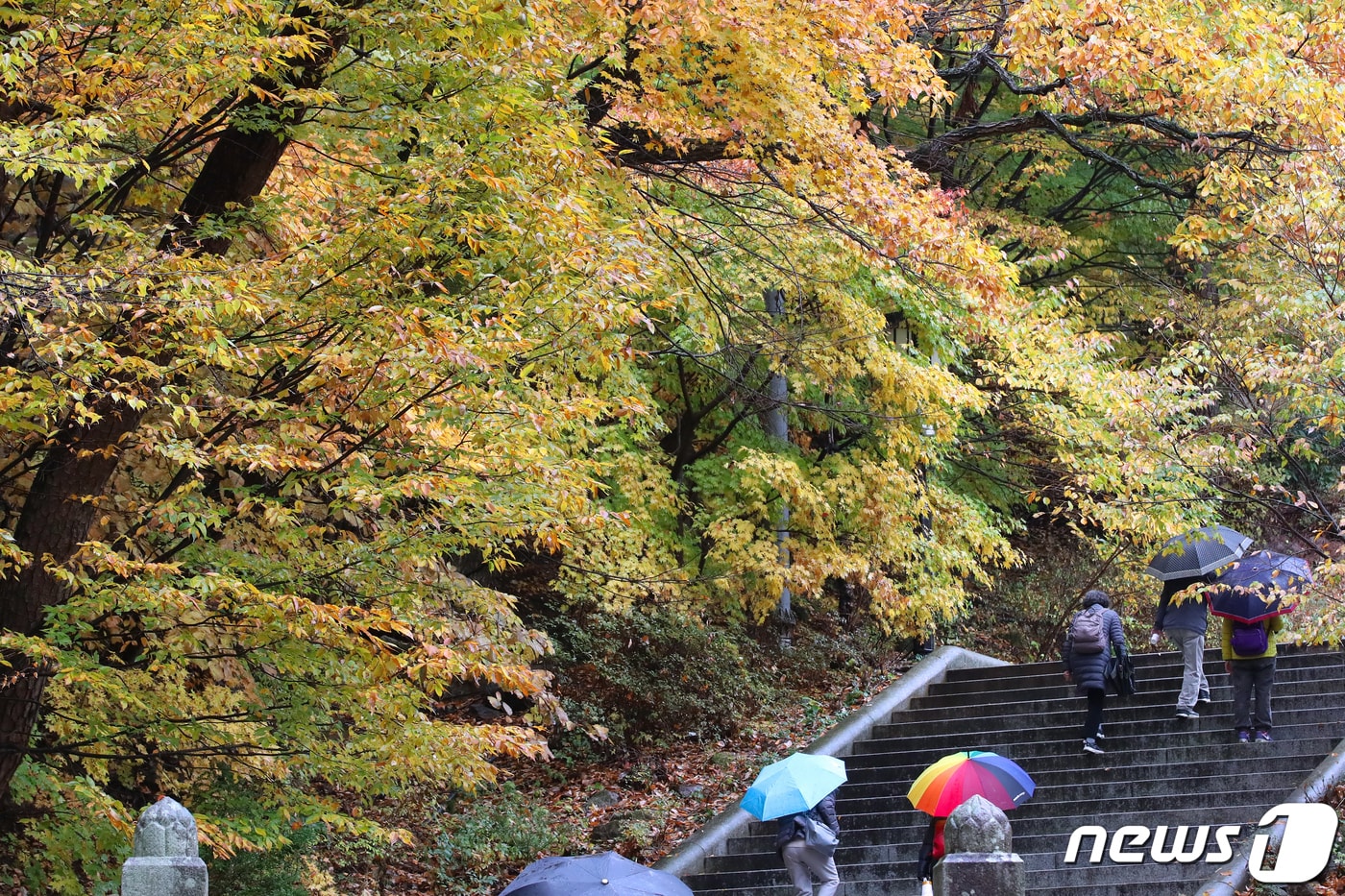 대구 동구 팔공총림 동화사에서 열린 '2020 팔공산 산중장터 승시(僧市) 축제'를 찾은 시민들이 단풍이 곱게 물든 행사장 주변을 걷고 있다. 2020.11.1/뉴스1 ⓒ News1 공정식 기자