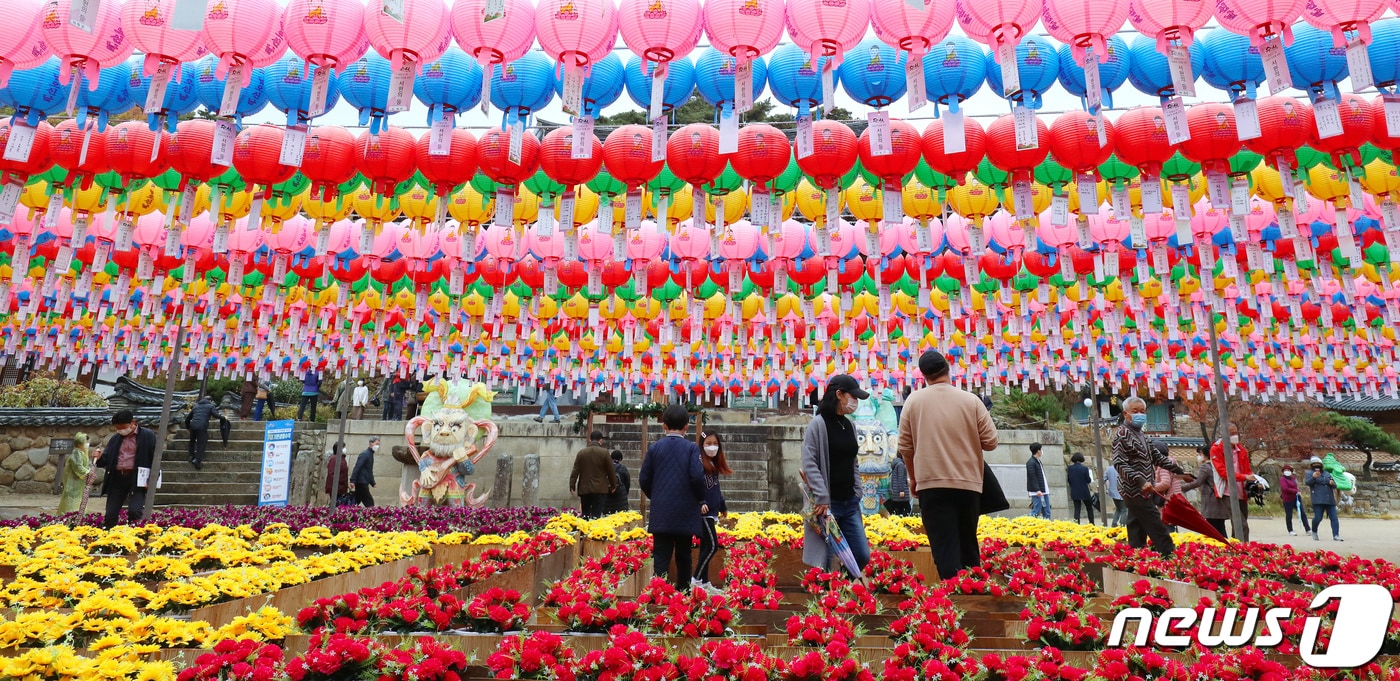 지난 1일 대구 동구 팔공총림 동화사에서 열린 '2020 팔공산 산중장터 승시(僧市) 축제'를 찾은 시민들이 연등과 꽃이 조화를 이룬 대웅전 앞을 산책하고 있다. 2020.11.1/뉴스1 ⓒ News1 공정식 기자