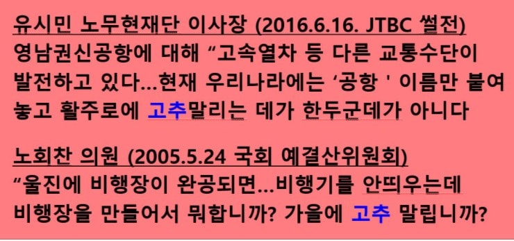 윤희숙 국민의힘 의원은 25일 유시민 노무현재단 이사장, 고(故) 노회찬 전 정의당 의원도 활용도 낮은 기반시설 건설을 비판하는 의미에서 '활주로 고추말리기' 표현을 사용했다며 이를 표로 만들어 소개했다. (페이스북 갈무리) ⓒ 뉴스1