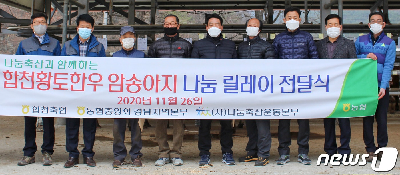 합천군은 26일 합천축협 혈통등록우 경매시장에서 ‘합천황토한우 암송아지 나눔 릴레이 전달행사’를 가졌다. (합천군 제공) ⓒ뉴스1