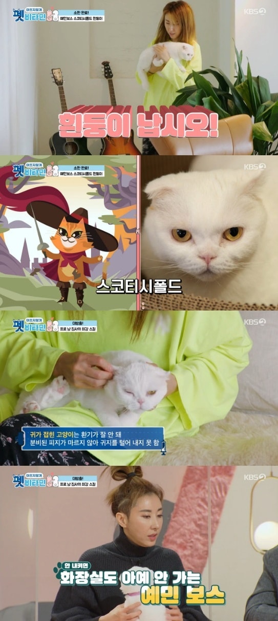 KBS 2TV '펫 비타민' 방송 화면 캡처 ⓒ 뉴스1