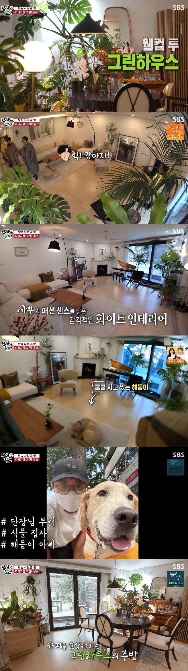 SBs캡처 ⓒ 뉴스1