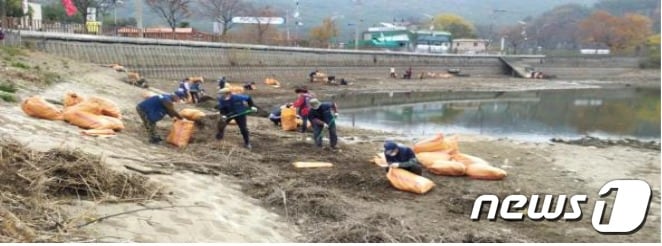 생활 쓰레기 수거 장면(부산시 제공)ⓒ 뉴스1