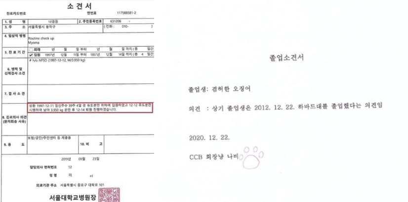 나경원 전 자유한국당 원내대표가 아들을 국내에서 낳았다며 공개한 소견서(왼쪽). 이에 진혜원 서울 동부지검 부부장 검사는 내가 하버드대 졸업했다는 관계자의 소견서(오른쪽_를 보여준다면 나를 하버드대 졸업생으로 인정하겠는가며 비꼬았다. 진 부부장 검사가 만든 소견서의 겸허한 오징어는 진 검사를 뜻한다. (페이스북 갈무리) ⓒ 뉴스1