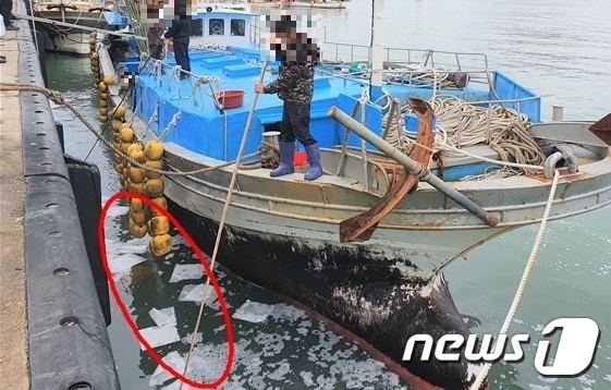 13일 오전 9시10분쯤 전남 완도항 1부두 인근해상에 기름이 떠 있다는 신고를 받고 출동, 정밀조사를 벌였다.(완도해양경찰서 제공) 2020.2.13 /뉴스1 ⓒ News1