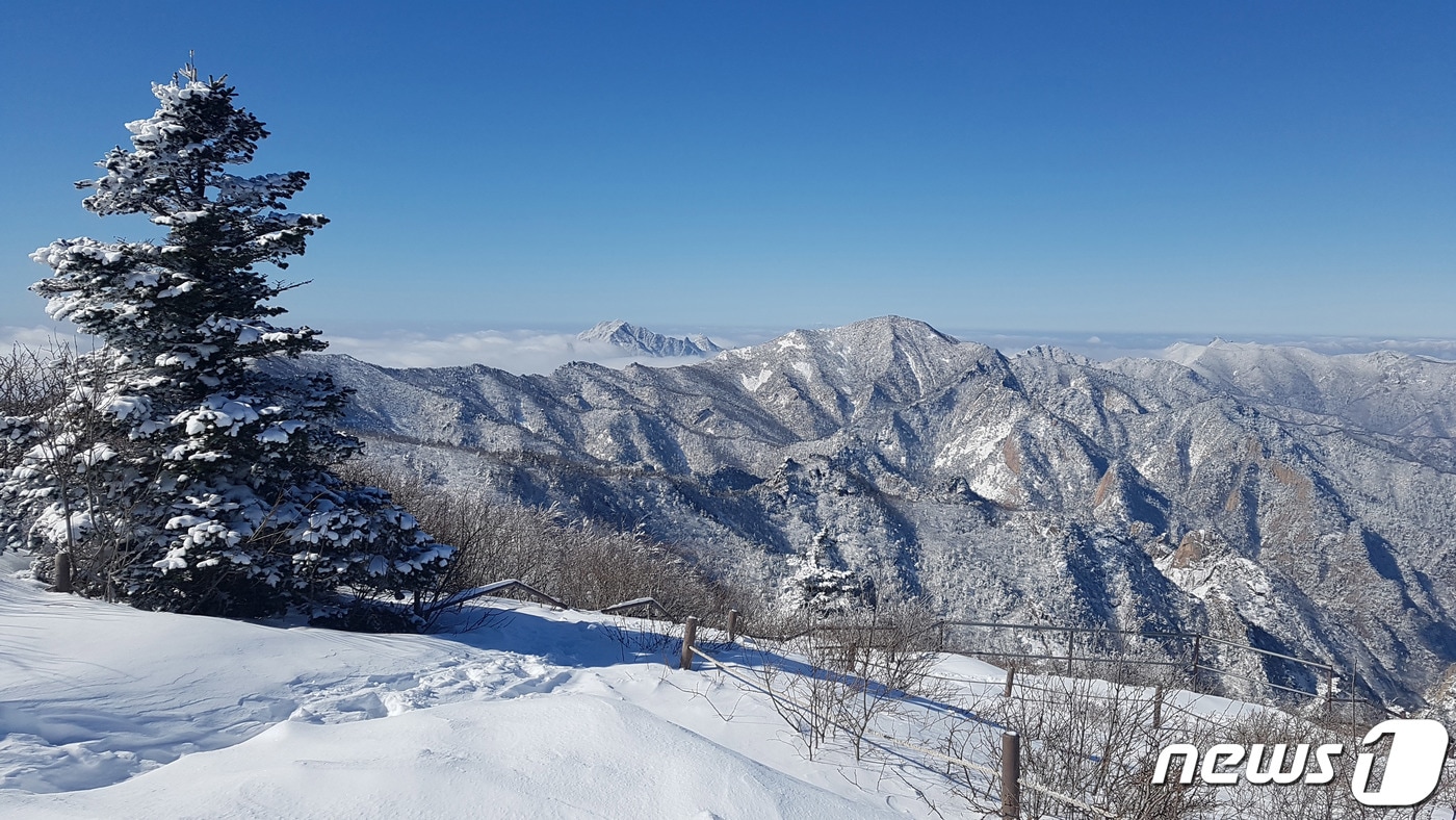 전날 강원 산지를 중심으로 많은 눈이 내린 27일 오전 설악산 소청대피소 일대가 하얀 눈으로 뒤덮여 있다. (설악산국립공원사무소 제공) 2020.2.27/뉴스1 ⓒ News1