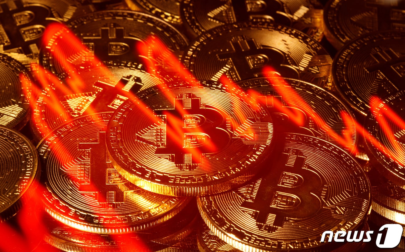 이틀 동안 50% 폭락, 비트코인도 코로나에 감염됐다 - 뉴스1
