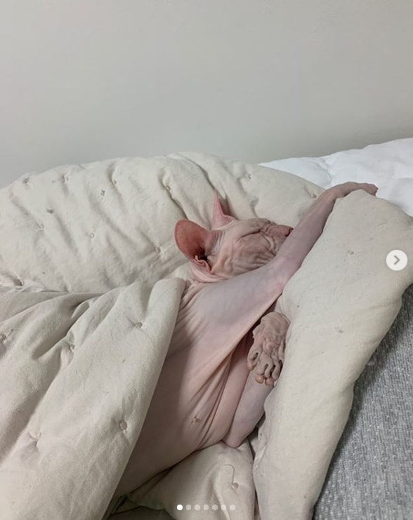 설리 인스타그램 캡처 ⓒ 뉴스1