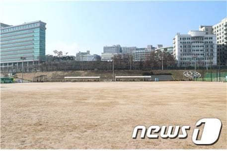 자동차 극장이 운영될 성동 살곶이 체육공원의 모습.(성동구 제공)ⓒ 뉴스1