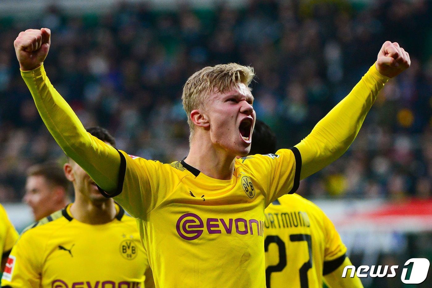 도르트문트 엘링 홀란드. ⓒ AFP=뉴스1