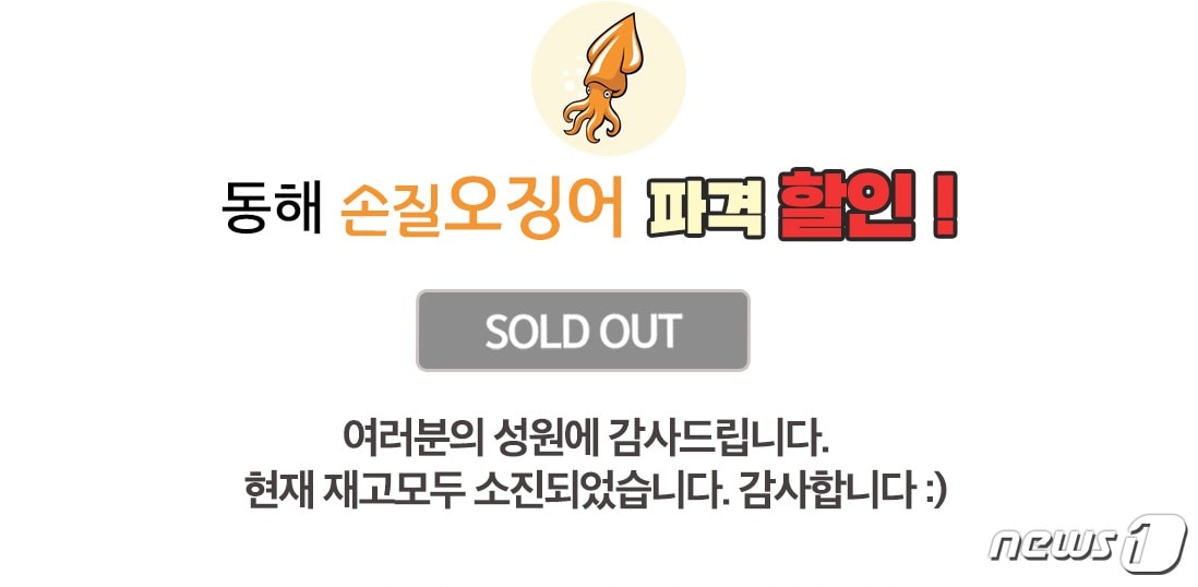 강원 동해시가 진행한 '동해안 오징어 팔아주기' 운동이 시작된 30일. 동시접속자로 인해 쇼핑몰이 마비되는 소동을 빚은 끝에 28분만에 준비된 오징어가 완판됐다. (동해시수협쇼핑몰 캡처) ⓒ 뉴스1