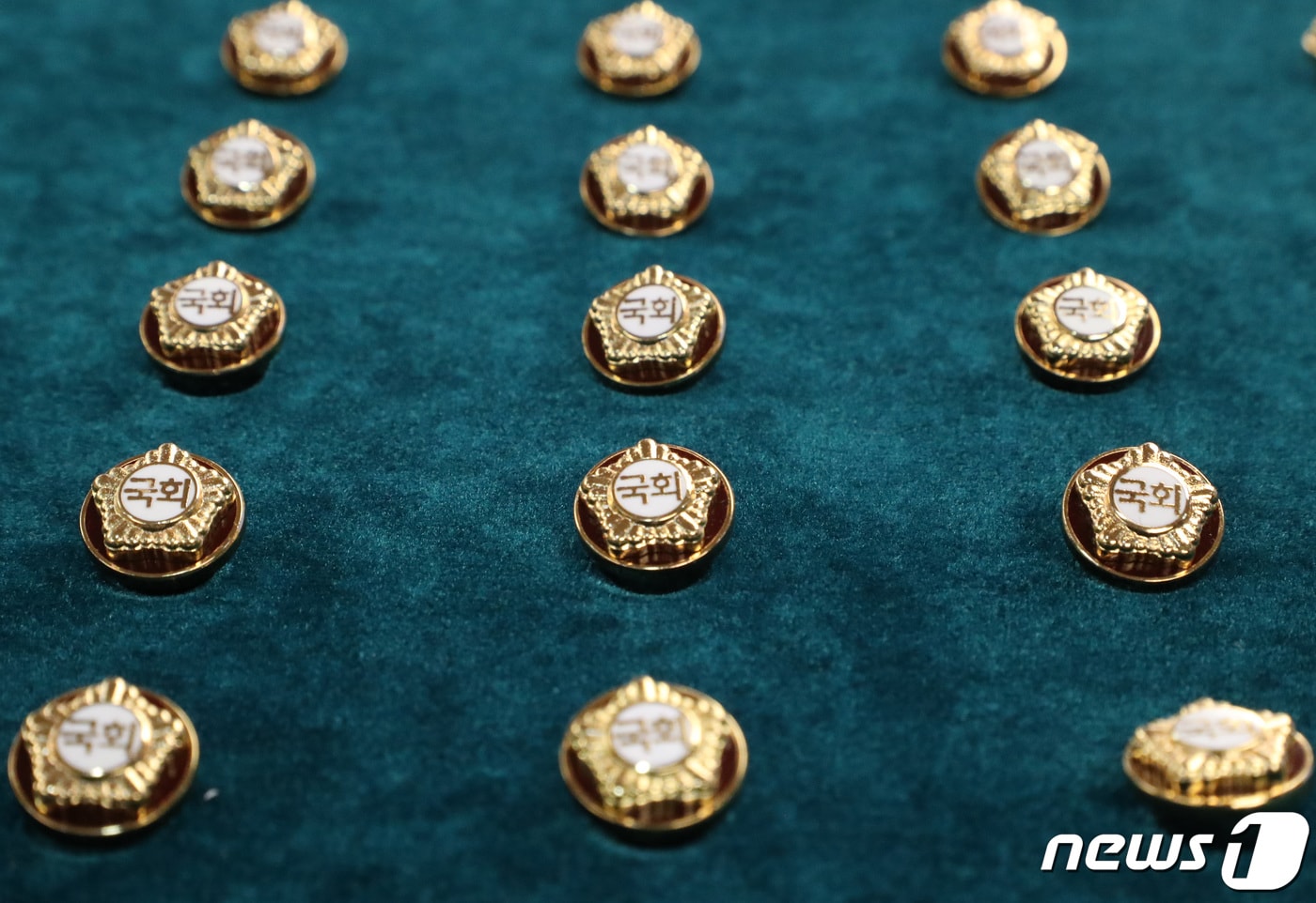 대구에서 내년 총선 예비후보자 등록(12일)을 앞두고 출마 예비후보자들의 출마 선언과 출판기념회가 본격화되고 있다. 사진은 국회의원 배지. 뉴스1 ⓒ News1 자료 사진