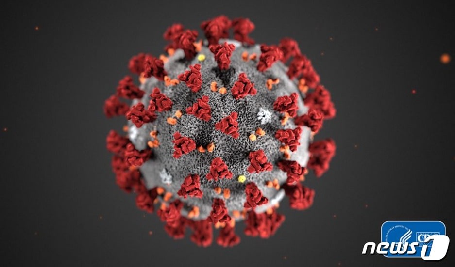 정부가 20일부터 사회적 거리두기 완화조치에 나서자 감염전문가인 백경란 감염학회 이사장은 20일 코로나19 바이러스 확산을 막으려면 '사회적 거리두기 완화'는 '개인적 거리두기 강화'로 이해해 줄 것을 당부했다.  CDC홈페이지 갈무리 ⓒ뉴스1