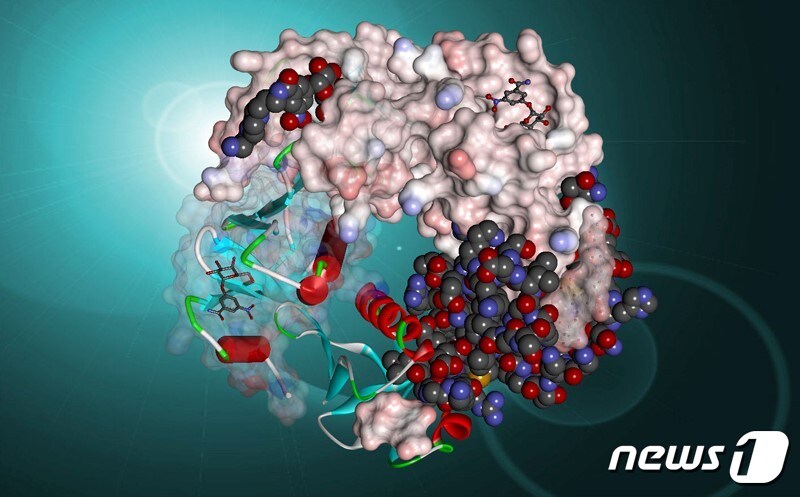 다쏘시스템의 컴퓨터 시뮬레이션을 통해 돌연변이 전후의 단백질 결합 여부를 예측할 수 있다. (다쏘시스템코리아 제공) ⓒ 뉴스1