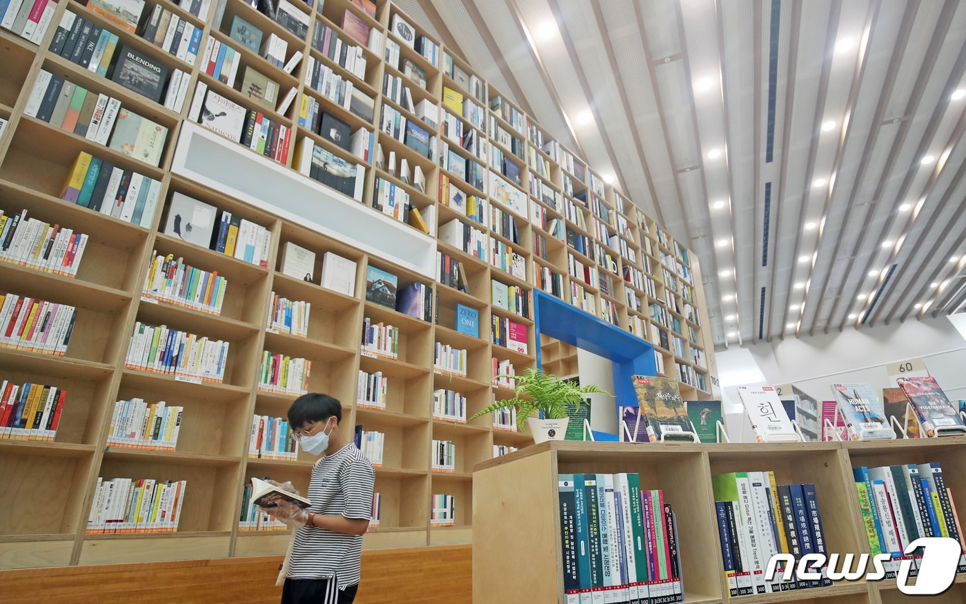 울산도서관 종합자료실 모습..ⓒ News1 윤일지 기자