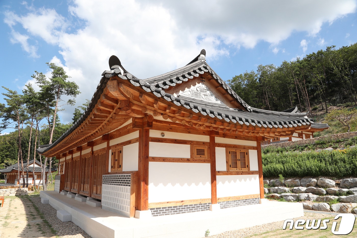 충북 보은군 속리산 숲체험휴양마을 (보은군 제공)ⓒ 뉴스1