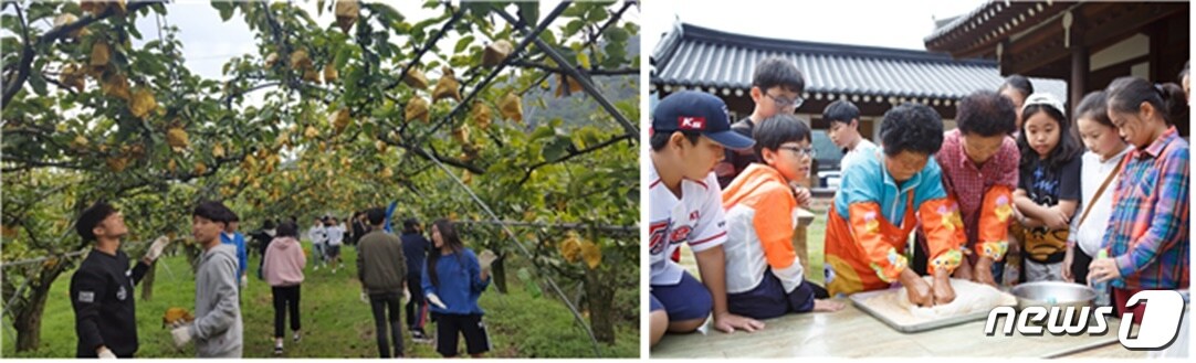 전북도가 농촌관광 포스트 코로나 대책을 추진키로 한 가운데 농촌체험에 나선 관광객들이 배수확과 떡메체험을 하고 있다.(전북도 제공)2020.6.10/ⓒ 뉴스1