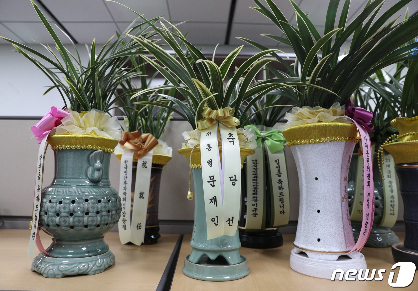 지난해 6월2일 서울 여의도 국회 의원회관 양기대 의원실에 문재인 대통령의 축하난이 놓여져 있다. 문 대통령은 21대 국회 임기를 시작한 여야 국회의원 300명 전원에게 축하 난을 보냈다. 2020.6.2/뉴스1 ⓒ News1 신웅수 기자